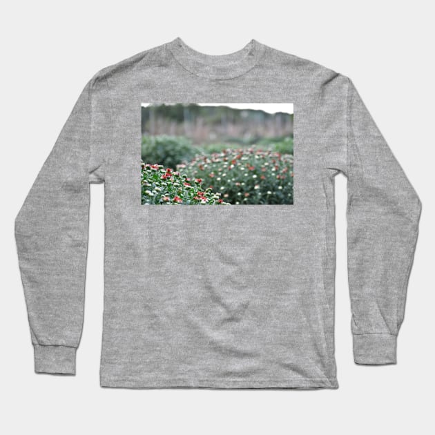 Chrysanthemum Long Sleeve T-Shirt by A Thousand Words Photography